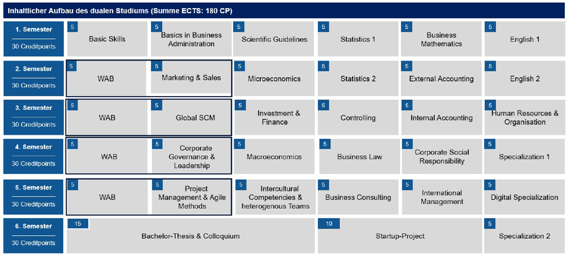 Studieninhalte International Business (Bachelor of Arts) Studieninhalte International Business